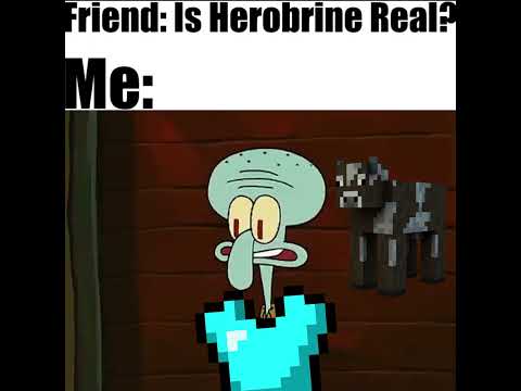 Herobrine EXPOSED: Lord Skelly's Minecraft Memes
