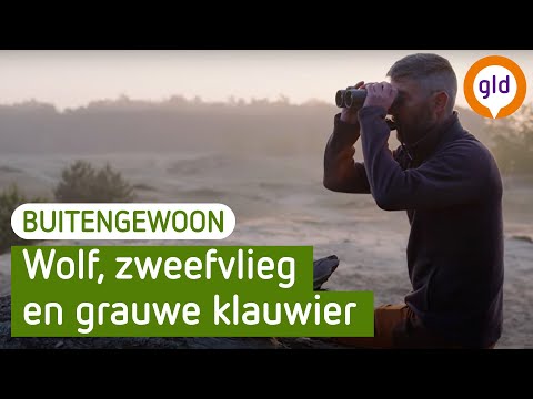 BuitenGewoon - Kootwijkerzand