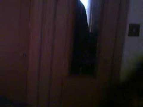 CEZA DA KING // mit raw( 2 da oils)C.M.B