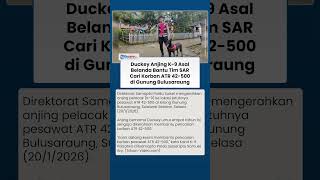 Duckey, Anjing K-9 Diterjunkan Cari Korban Pesawat ATR 42-500 di Lereng Gunung Bulusaraung
