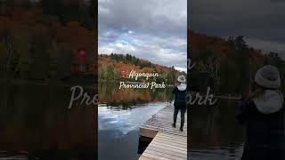 カナダの秋を大満喫できる場所‼  大自然に癒された🍁                      #カナダ #トロント #カナダvlog  #紅葉