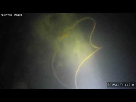 Ang laki ng  snake. head night spear fishing sa ilog.