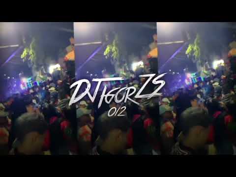 ROÇA PIRAINHA - MC LUIGGI E MC TALIBÃ (DJ IGOR ZS 012)