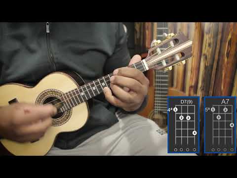 Cara De Pau (ver. 2) - Exaltasamba