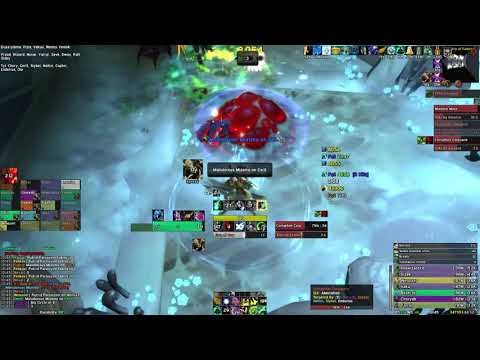 Error Code vs Fetid Devourer Mythic WW monk Pov