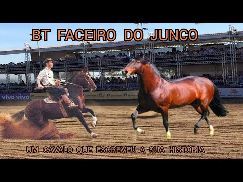 BT FACEIRO DO JUNCO