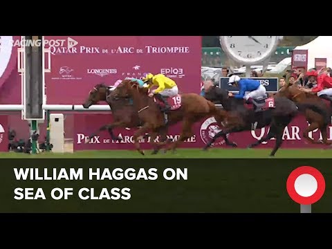 William Haggas on Sea Of Class