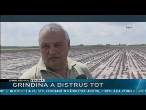 GRINDINA A DISTRUS TOT