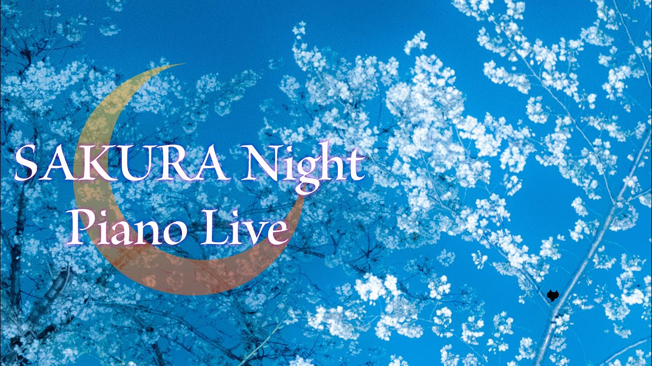 深夜桜ピアノライブ SAKURA Night Piano Live【深夜ラジオ風】【寝落ちピアノ】