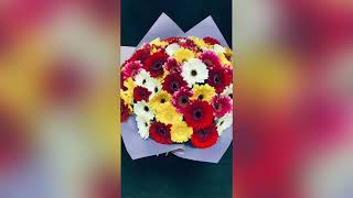 Gerbere Multicolore,  buchet perfect pentru bunica.