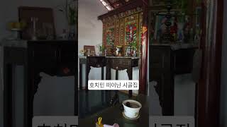 호치민 떠이닌 시골집 다녀왔어요.