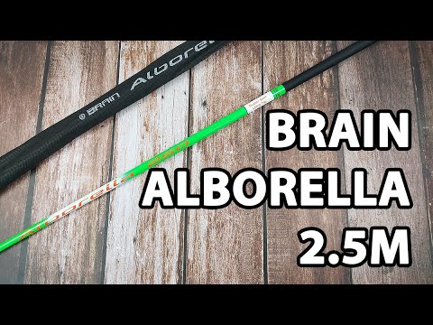 Вудлище махове Brain Alborella 2.5m