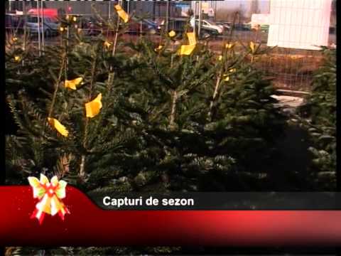 Capturi de sezon