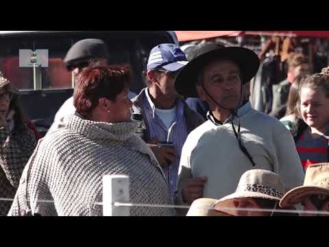 Nuevo aniversario de Los Talas - 2019