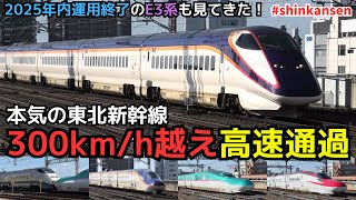 【本気の東北新幹線】300km/h越え高速通過と「つばさ」発着が楽しめる（一部速度付き） #Shinkansen #koriyama