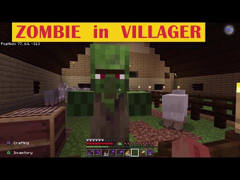 Come trasformare uno zombie in villager