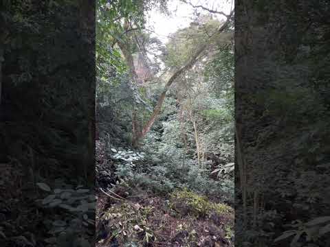 Se vende lote en Santa Elena, El Cerrito