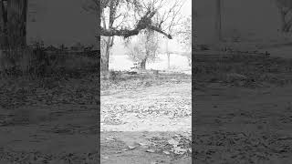 Download lagu Hamne Tumko Dil Ye De Diya Full Video - Gunaah|Dino, Bipasha|Alka Yagnik,Babul Supriyo#youtube#viral mp3 Download lagu Hamne Tumko Dil Ye De Diya Full Video - Gunaah|Dino, Bipasha|Alka Yagnik,Babul Supriyo#youtube#viral mp3