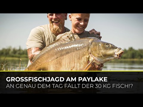 Das Paylake Tutorial - Der 30 KG Fisch fällt genau heute?! | Frankreich | Big Fish | Carpspecialist