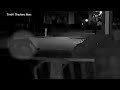 Mysterious Big Cat Sighting In Upstate New York
