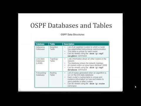 OSPF Characteristics