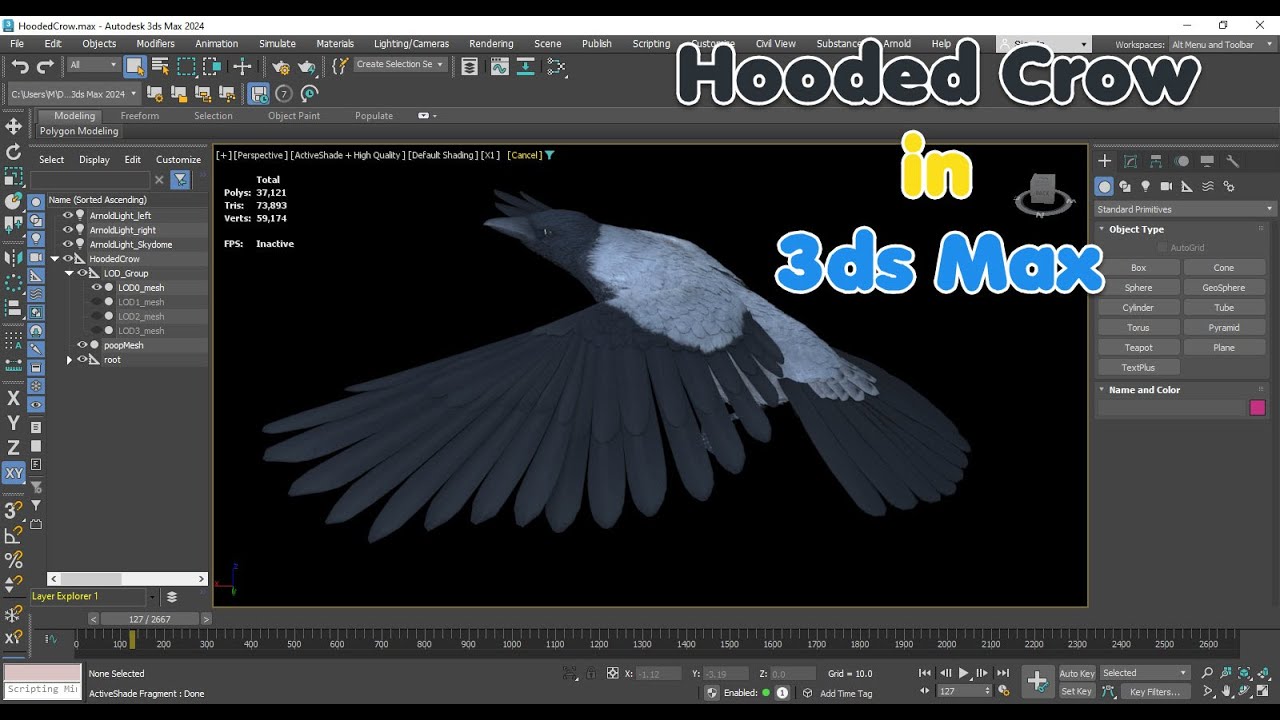 Corvo encapuzado animado realista Modelo 3D