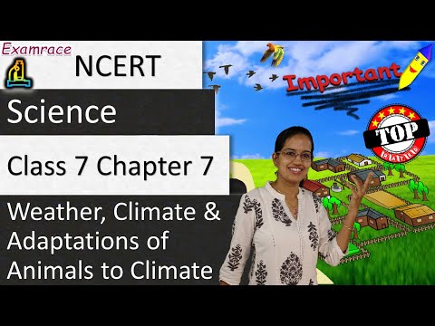 Weather; Climate & Adaptations of Animals Video Lecture | Study NCERT Video Summary: Class 6 to Class 12 (English) - UPSC | Best Video for UPSC Weather; Climate & Adaptations of Animals Video Lecture | Study NCERT Video Summary: Class 6 to Class 12 (English) - UPSC | Best Video for UPSC