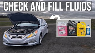 How to Check and Fill Fluids [COMPLETE GUIDE] - Hyundai Sonata (2011-2014)