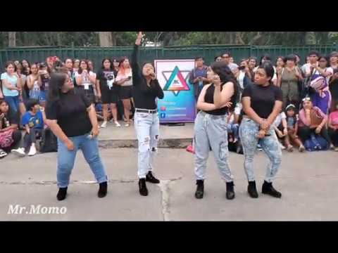 MAMAMOO "Hip" Dance Cover Mr.Momo [PERÚ]