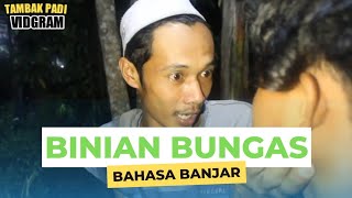Download lagu BAHASA BANJAR - BINIAN BUNGAS - TAMBAK PADI mp3 Download lagu BAHASA BANJAR - BINIAN BUNGAS - TAMBAK PADI mp3