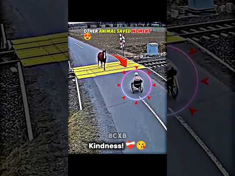 OTHER ANIMAL SAVED MOMENT 😍 #respect