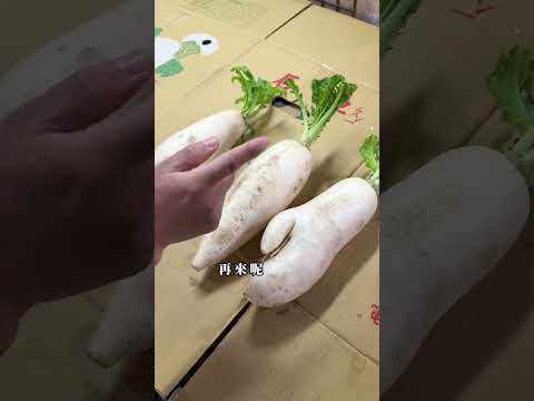 阿娘喂❗️脆甜白蘿蔔怎麼選？主廚來教你啦～🥰#蘿蔔#小知識#料理日常 #美食推薦 #國宴主廚溫國智