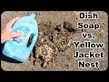 Complete Destruction Dish Soap Vs Ground Yellow Jacket Nest Mousetrap Monday