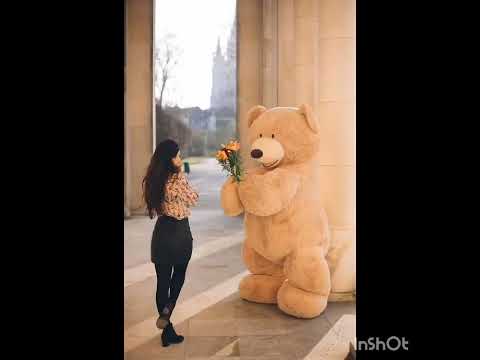 "Bas Tere Vibes, Ishikkaa 💥 | The Crazy Vibe Anthem of 2025 😎🎶 | Rockstar Wisey"