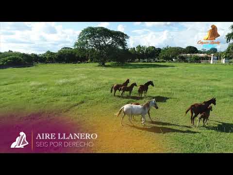 SEIS POR DERECHO | AIRE LLANERO