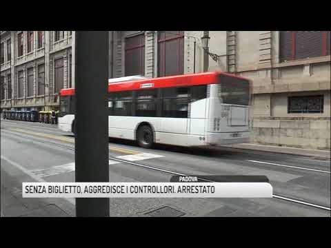TG PADOVA (19/07/2018) - SENZA BIGLIETTO, AGGREDISCE I CONTROLLORI. ARRESTATO