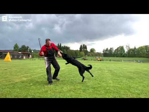 Qwin z udoli upy  - protection 16 months