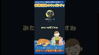 犬猫の保護活動を始める前に扱う頭数を決めておく！