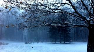 OST Winter Sonata - The Love I Cannot Let Go - Seon (보낼 수 없는 사랑 - 선)