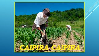 CAIPIRA CAIPIRA ***LOURENÇO & LOURIVAL - Compositores -João Miranda / Paraense