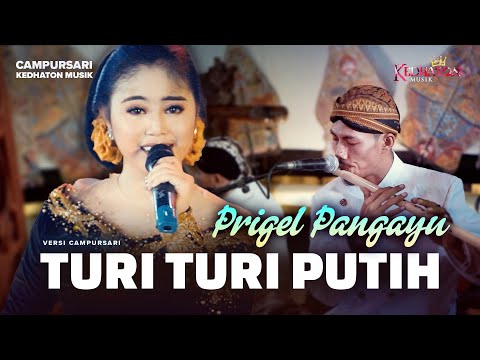 Prigel Pangayu - Turi Turi Putih - Kedhaton Musik Campursari (Official Music Video)