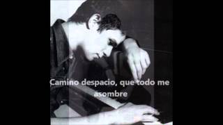 Camino de Rosas -  Alejandro Sanz ... con letra