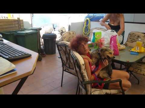 Astor is nog een beetje bang (8 aug 2016)