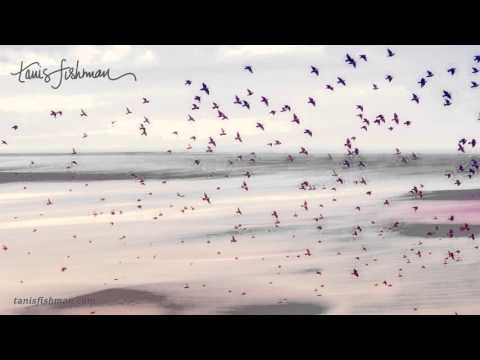 Yoga Nidra - Cosmic Core