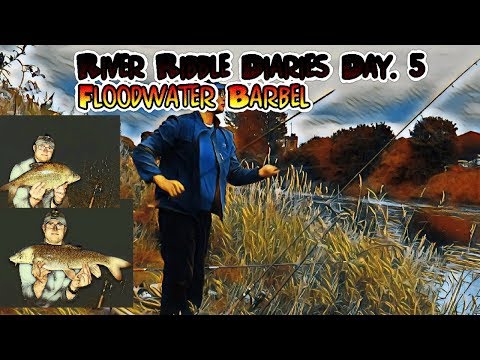 River Ribble Fishing Diaries Day 5. Barbel in flood