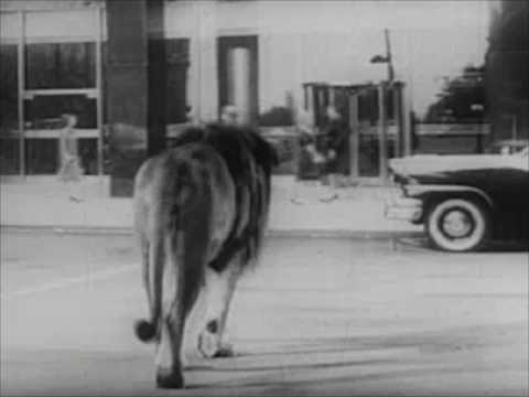 Blockhead - Triptych Pt 3 (Music Video)