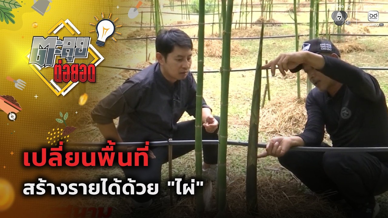 เปลี่ยนพื้นที่ สร้างรายได้ด้วย "ไผ่" | ตะลุยต่อยอด