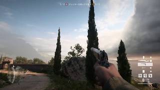 【バトルフィールド1 / BF1】ネギの配信部屋
