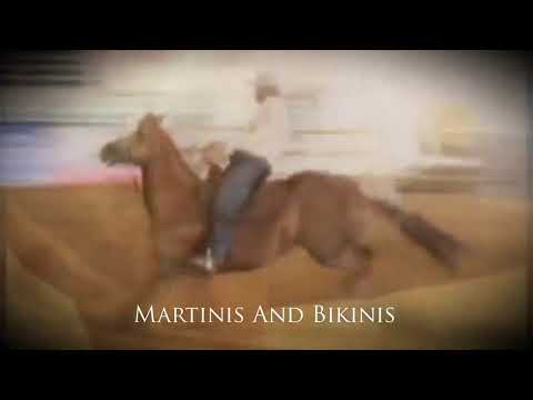 30/05/21 (ARENA ORGANNACT) • 30º Congresso Brasileiro do Quarto de Milha