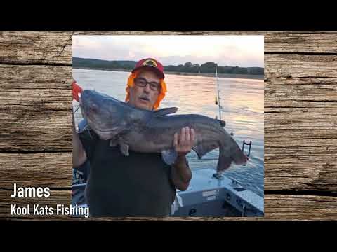 AMAZING Fish Caught By Our Viewers! Check Them Out!